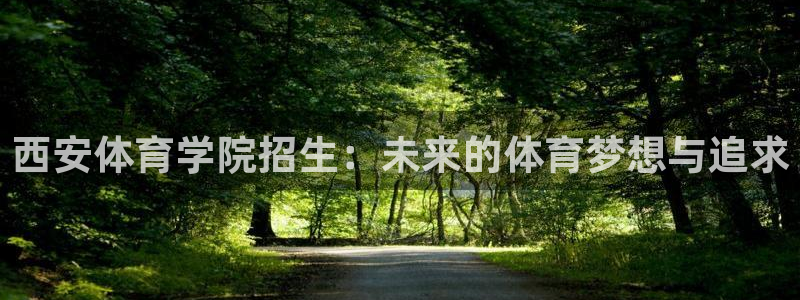 xc体育app官方网站