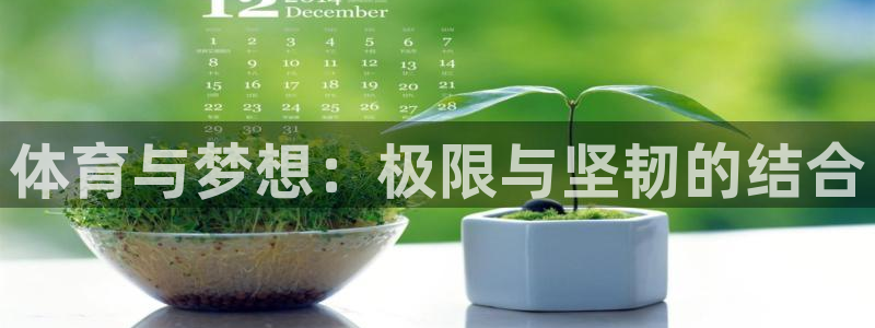 xc体育app官方网站