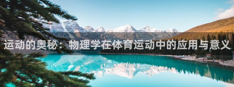 xc体育
