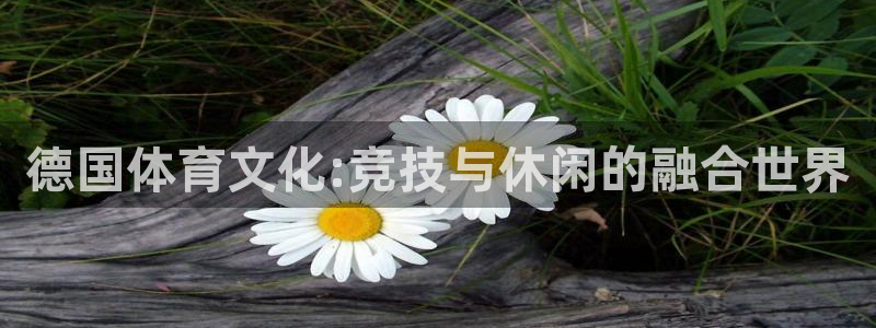 xc体育