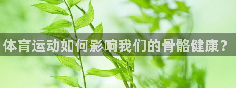 xc体育app官方网站