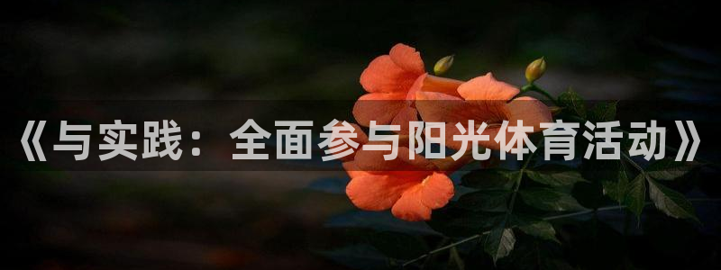xc体育