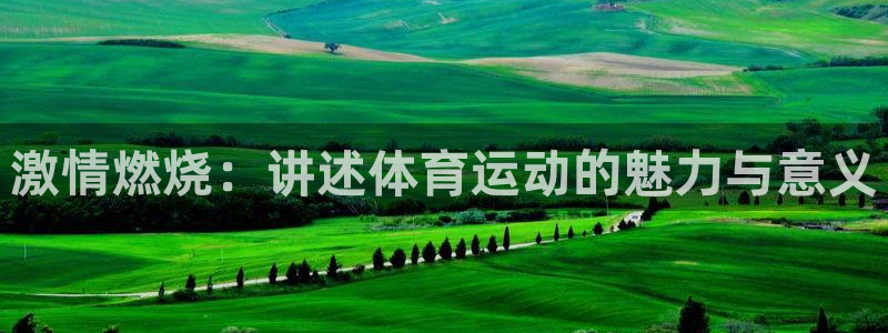xc体育app官方网站