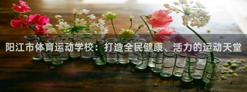 xc体育app官方网站