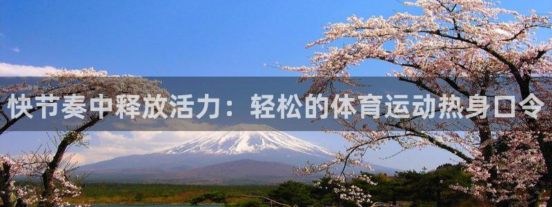 xc体育app官方网站