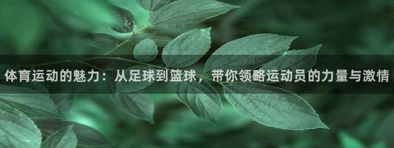 xc体育app官方网站