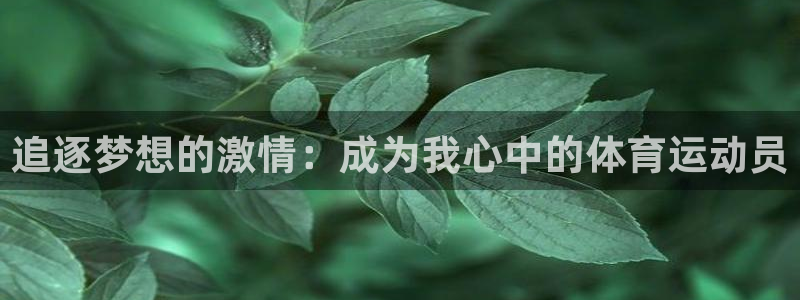 xc体育app官方网站