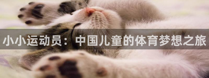 xc体育app官方网站
