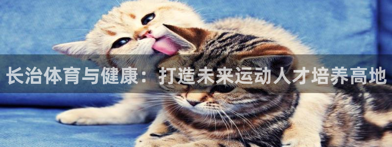 xc体育