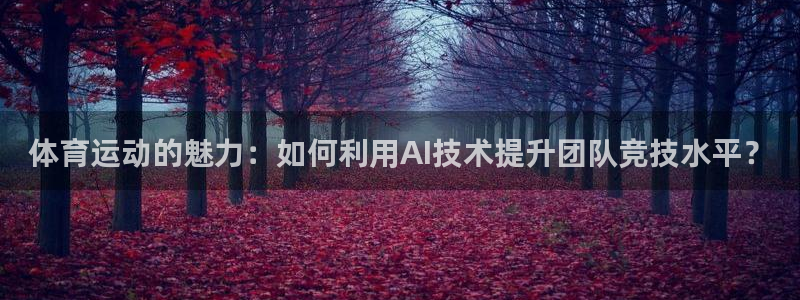 xc体育