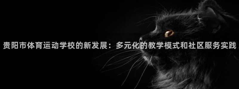 xc体育app官方网站