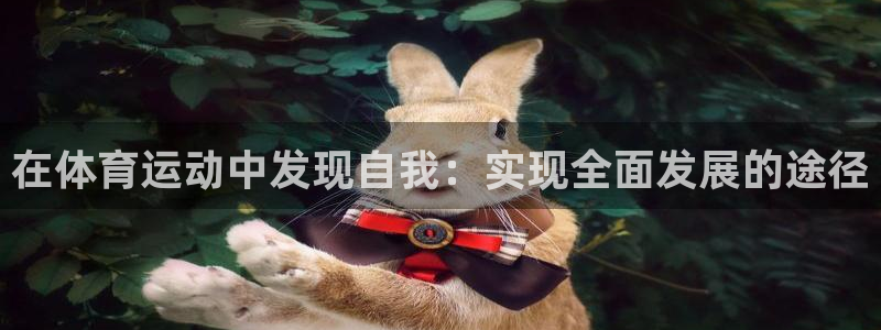 xc体育app官方网站