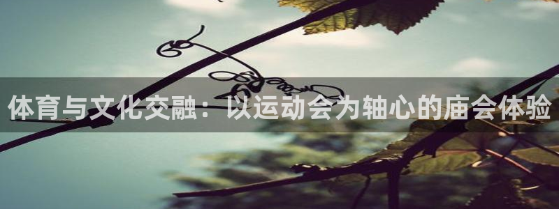 xc体育